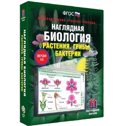 Электронные образовательные ресурсы, в том числе интерактивные плакаты, сборник интерактивных заданий, интерактивное наглядное пособие, электронные плакаты и тесты
