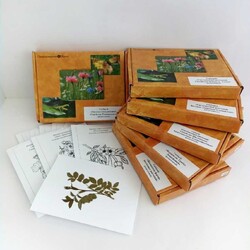 Комплект гербариев раздаточных