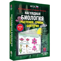 Электронные образовательные ресурсы, в том числе интерактивные плакаты, сборник интерактивных заданий, интерактивное наглядное пособие, электронные плакаты и тесты