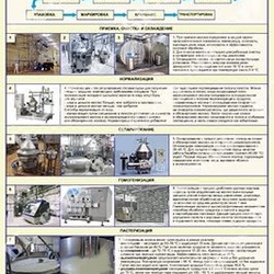 Стенд на баннерной основе «Общая схема переработки молока»