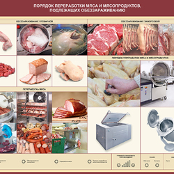 Стенд электрифицированный «Порядок переработки мяса и мясопродуктов, подлежащих обеззараживанию»